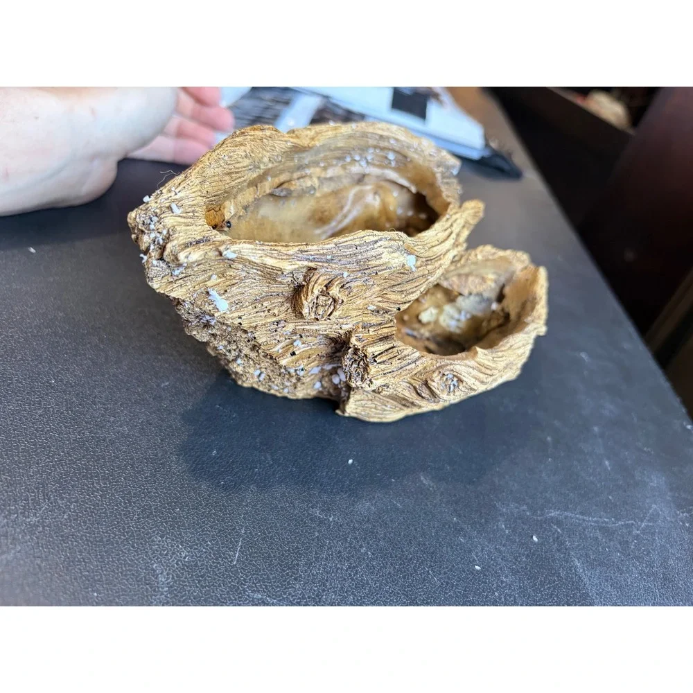 N/A resin reptile